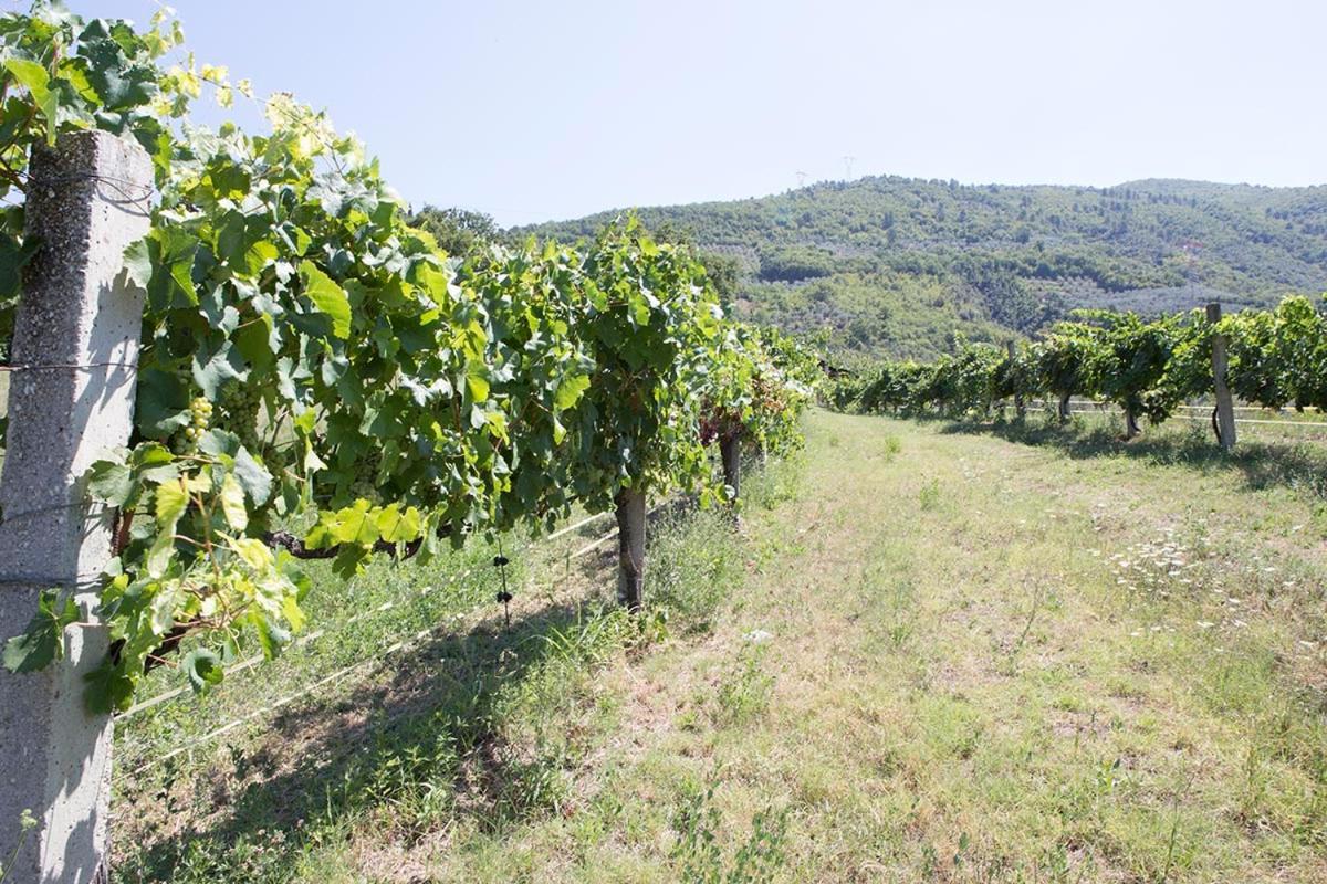 Agriturismo I Melograni Ferentillo Exterior photo