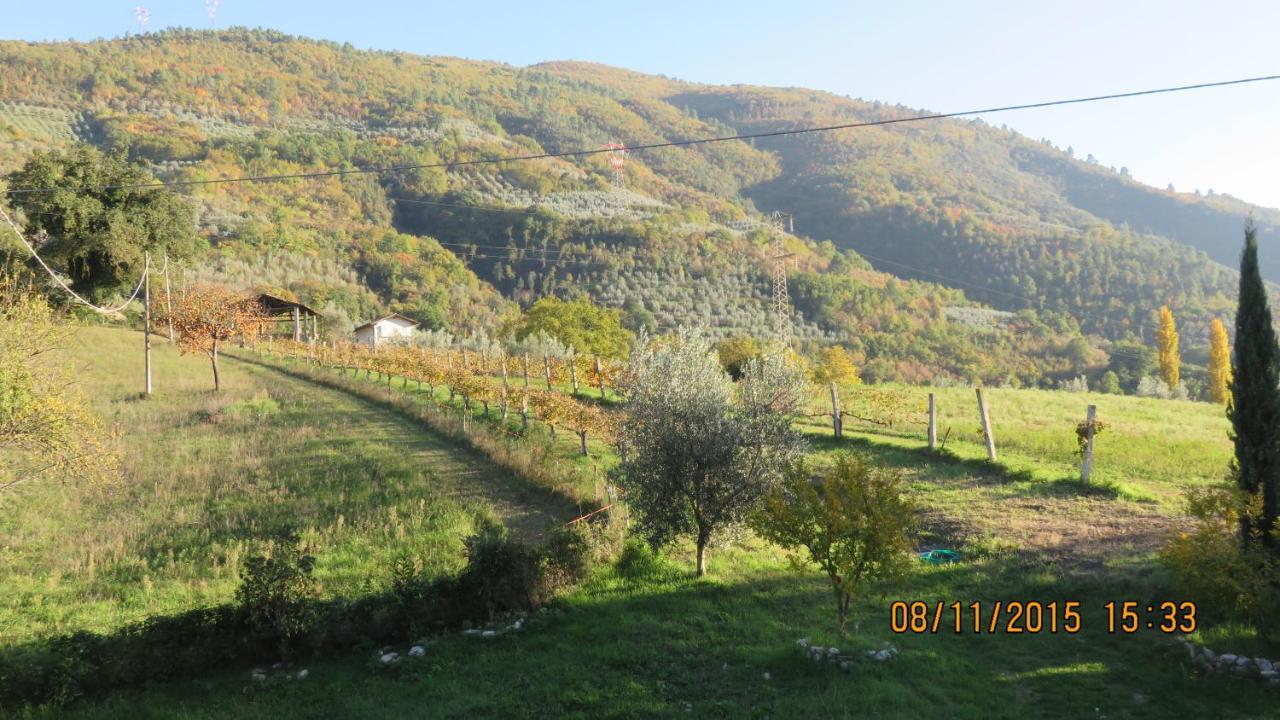 Agriturismo I Melograni Ferentillo Exterior photo